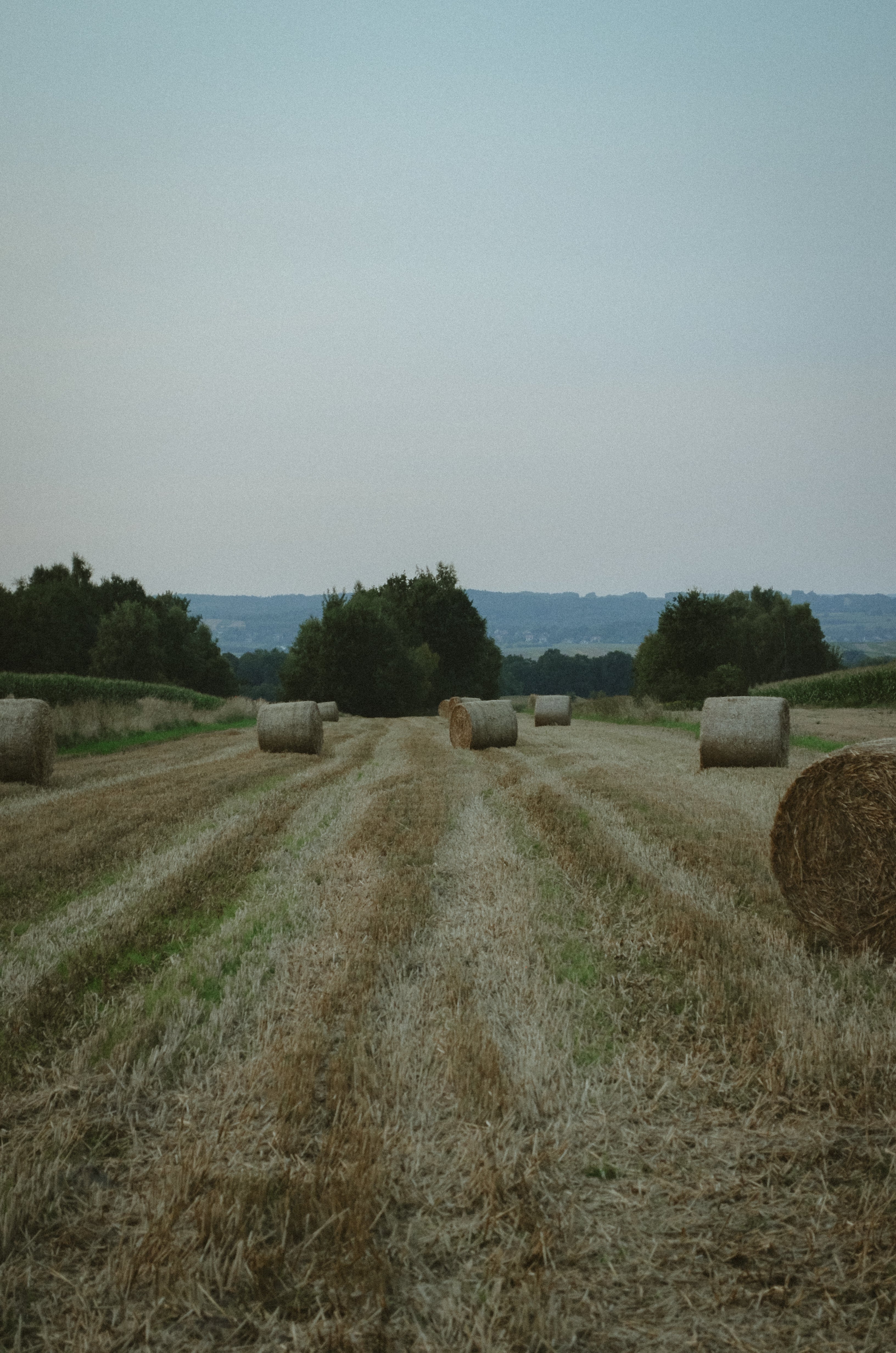 A3023C4F-017B-4825-98DF-D3AF6E2422E5.jpg